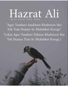 Hazrat Ali Quotes CapCut Template