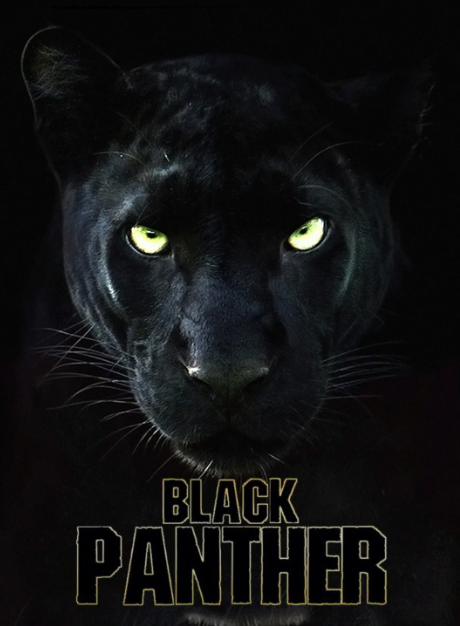 Black Panther Capcut Template