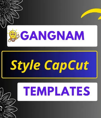Gangnam Style Capcut Template