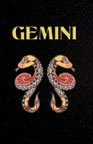 Gemini Capcut Template