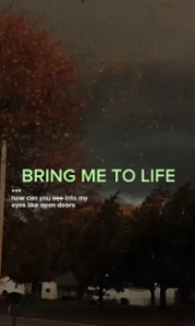 Bring Me To Life Capcut Template